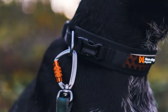 Hovedbillede Non-stop Rock adjustable collar