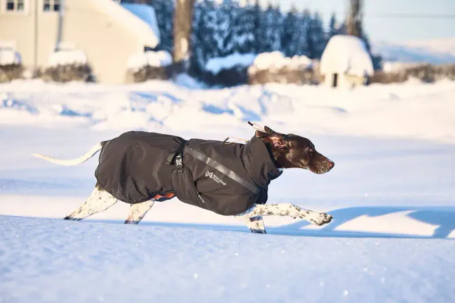 Huvudbild Non-stop Trekking insulated dog jacket