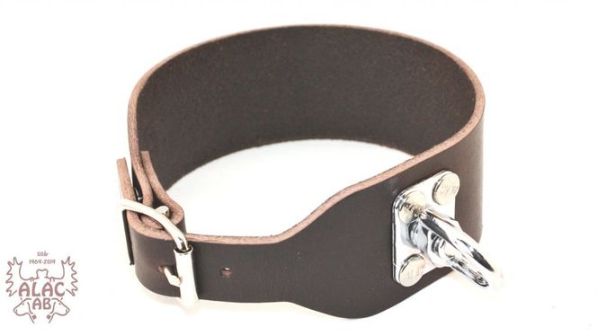 Hovedbillede ALAC - Spårhalsband