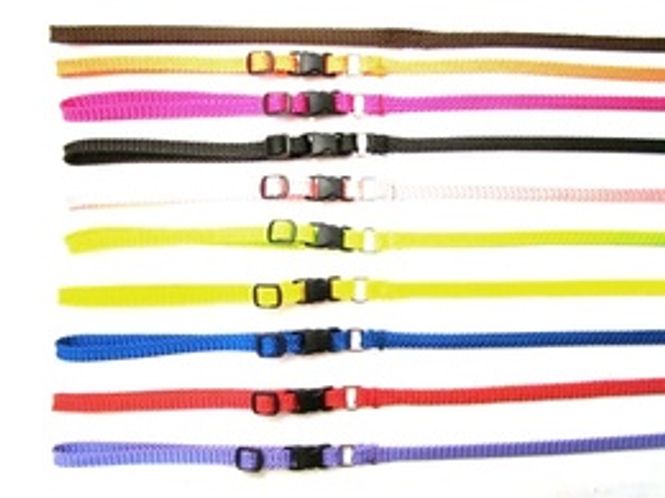 Huvudbild ALAC - Valpset, koppel och halsband